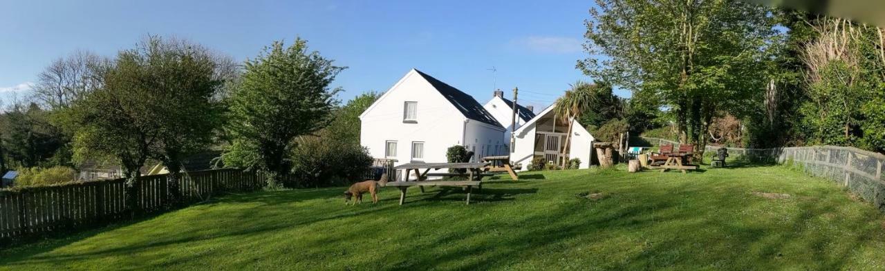 Ivybridge Guesthouse Фишгард Екстериор снимка